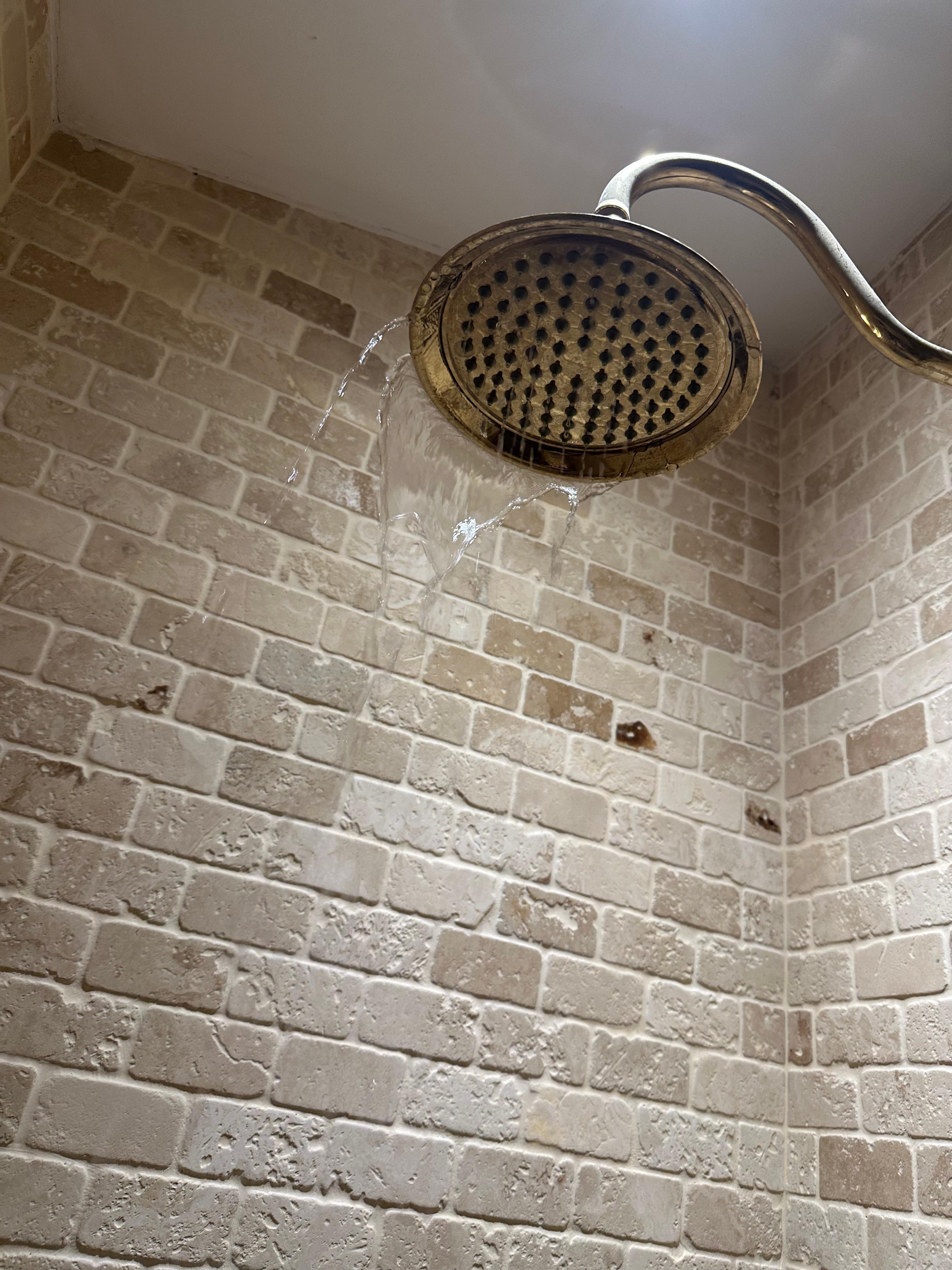 Nom-functional shower head