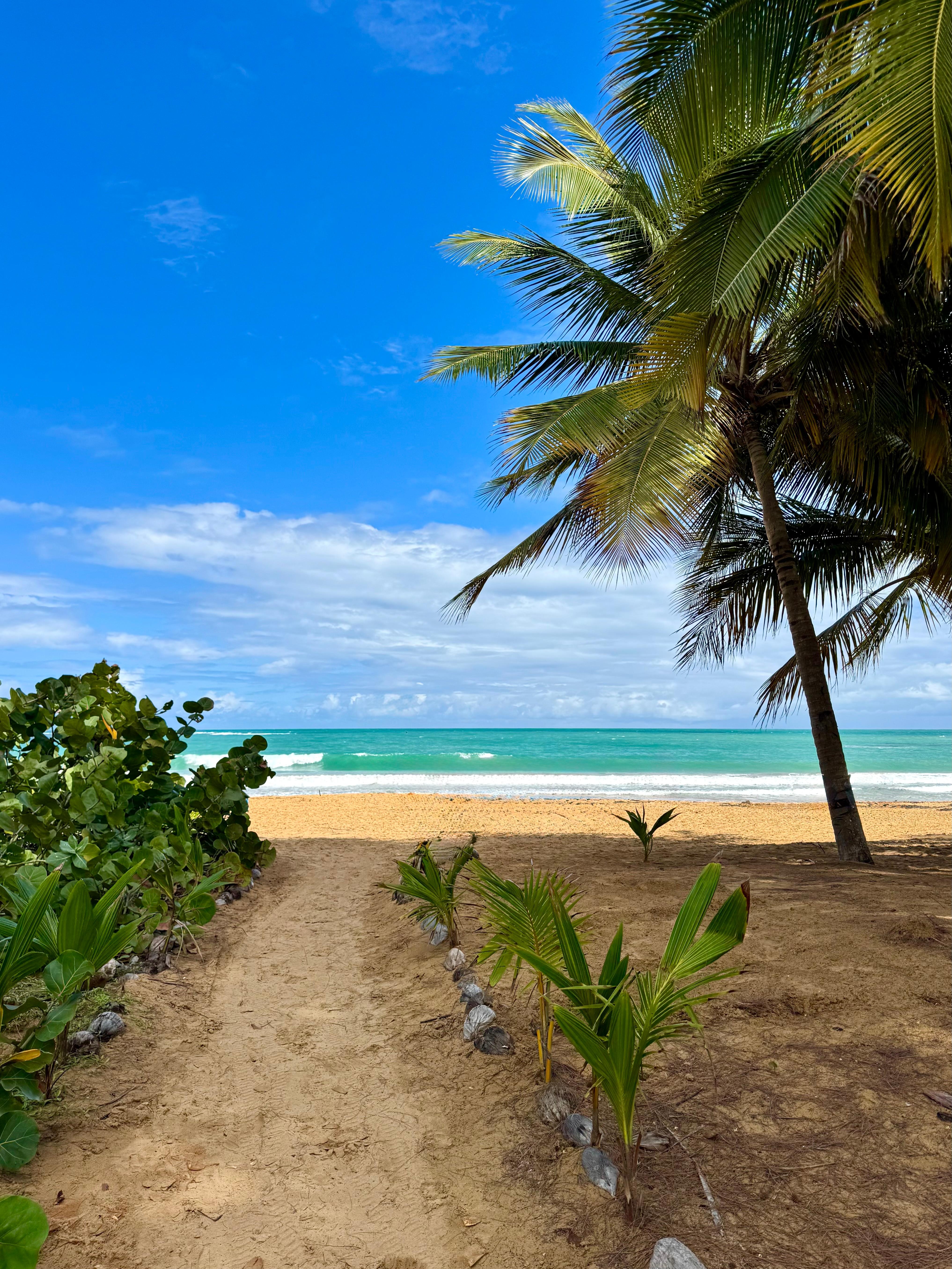 The beach is right next to the property! One day, there was a man selling coconuts to drink out of. Delicious!