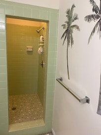 Huge walk in shower!