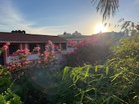 Rooftop view