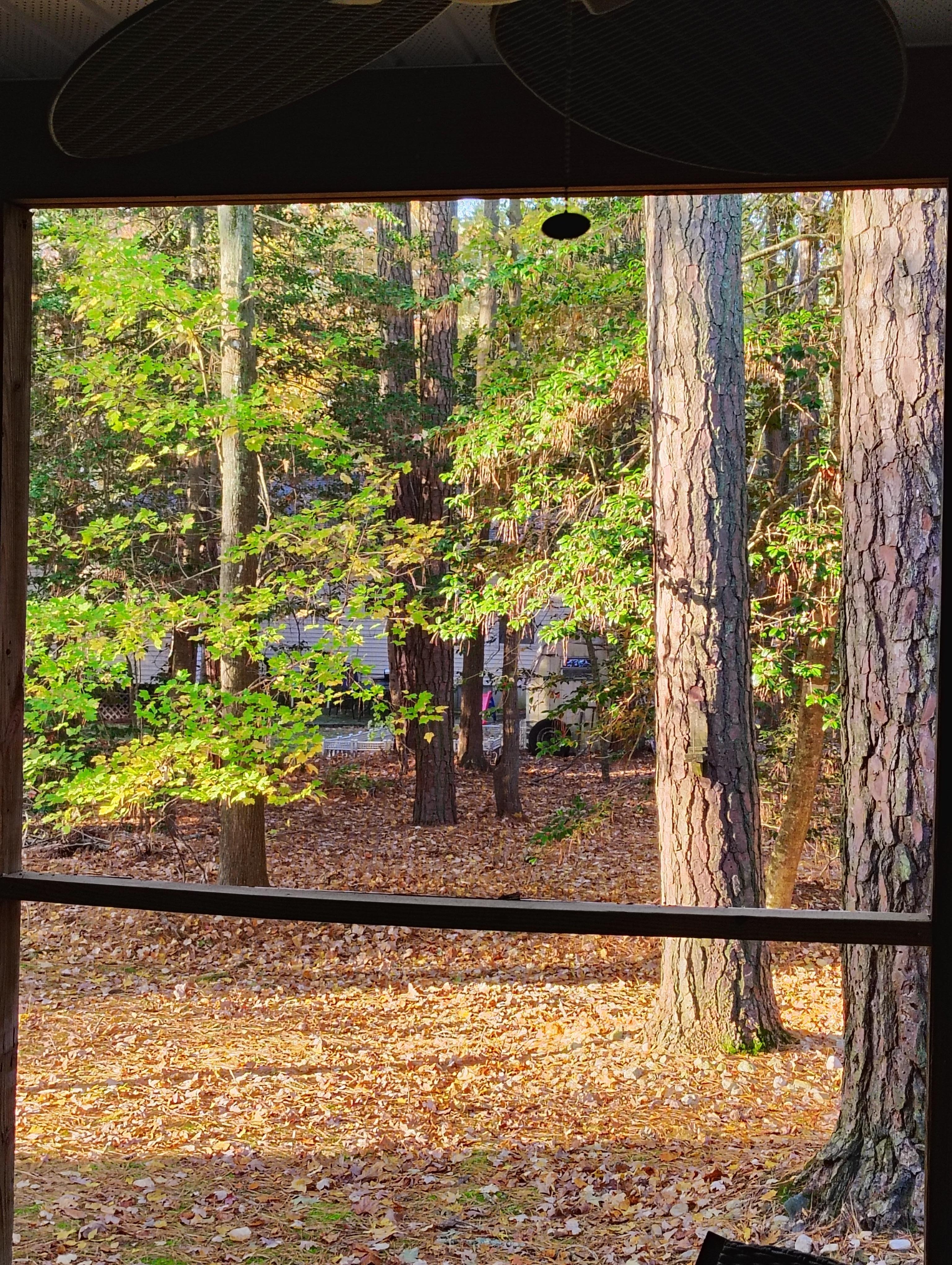 View from the patio...so tranquil