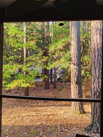 View from the patio...so tranquil