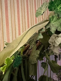 Dusty artificial flower arrangements.