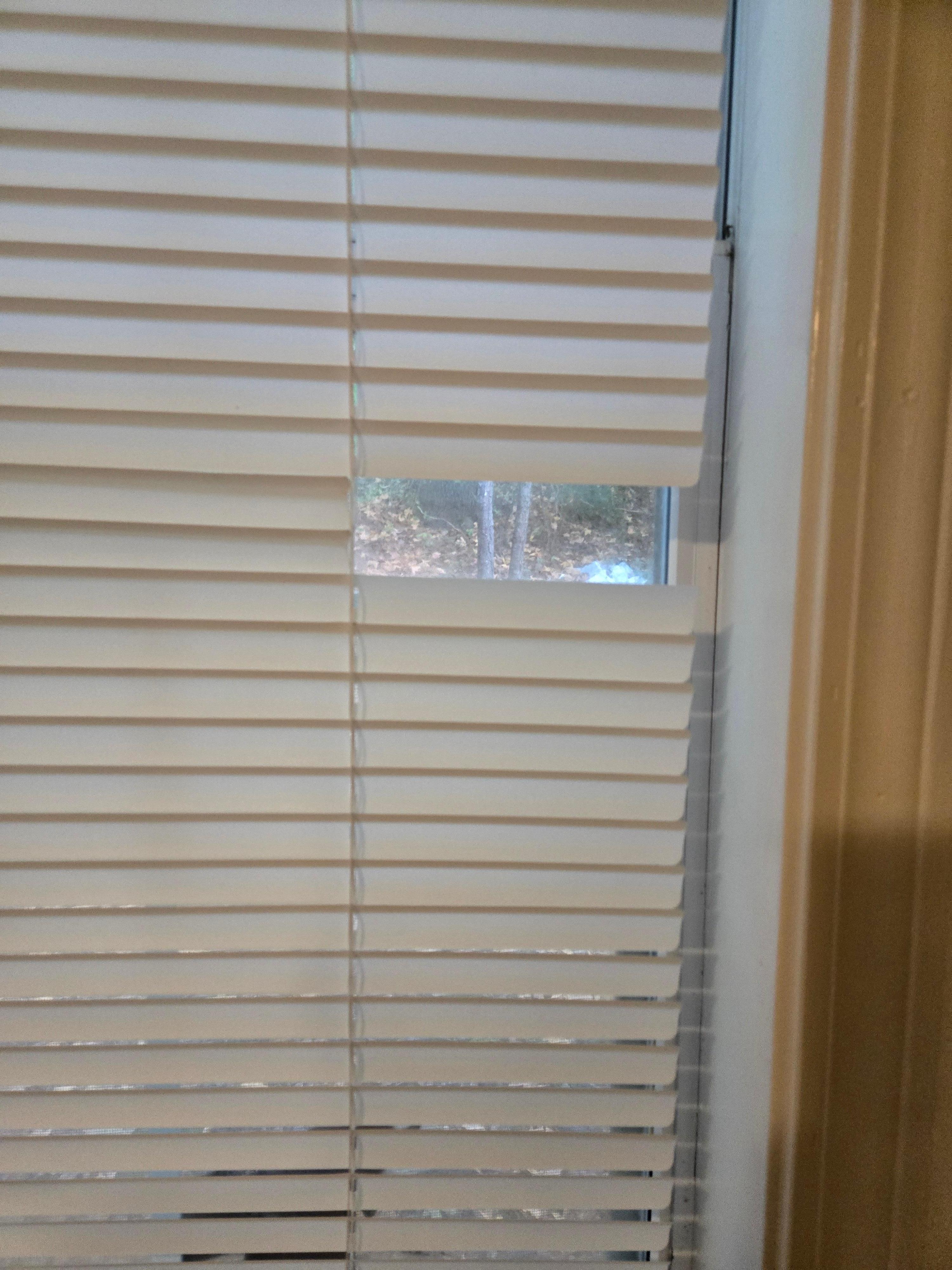 Baked blinds