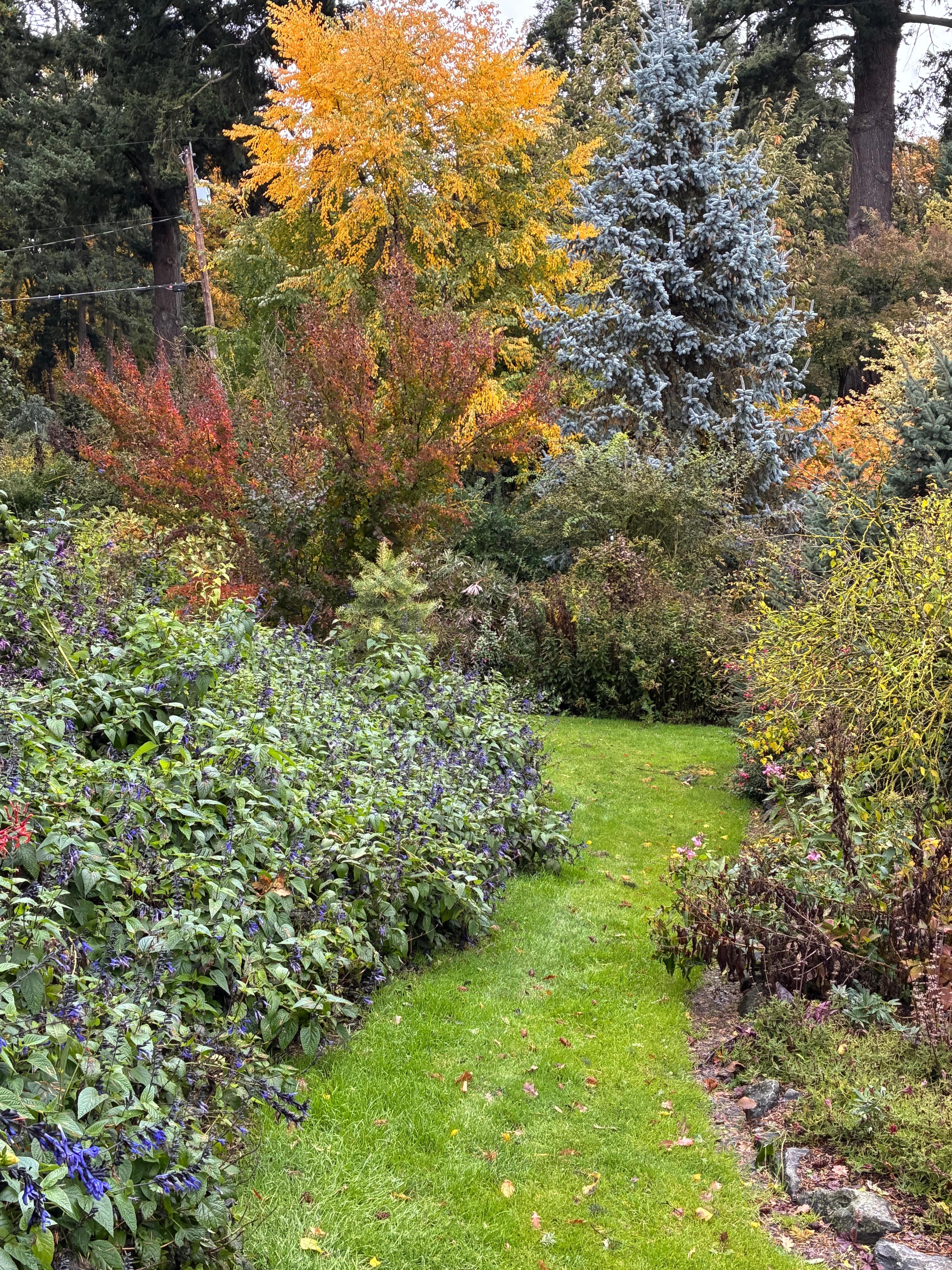 In the Oregon Garden which one has walking access to from the resort. 