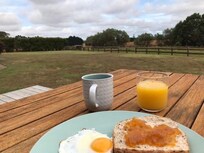 Eggs and their creators