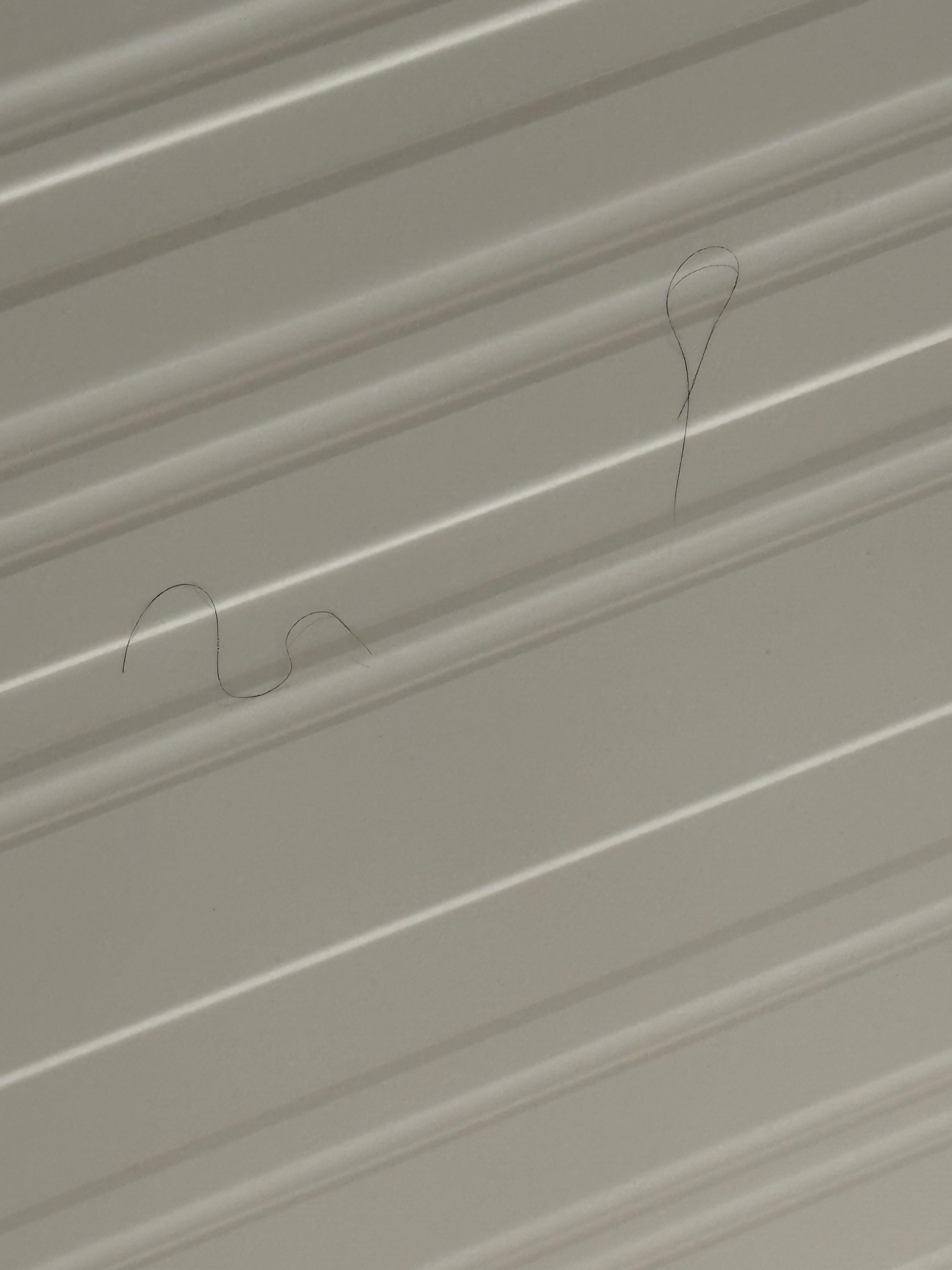 Blake hair in shower. You may have to expand. 