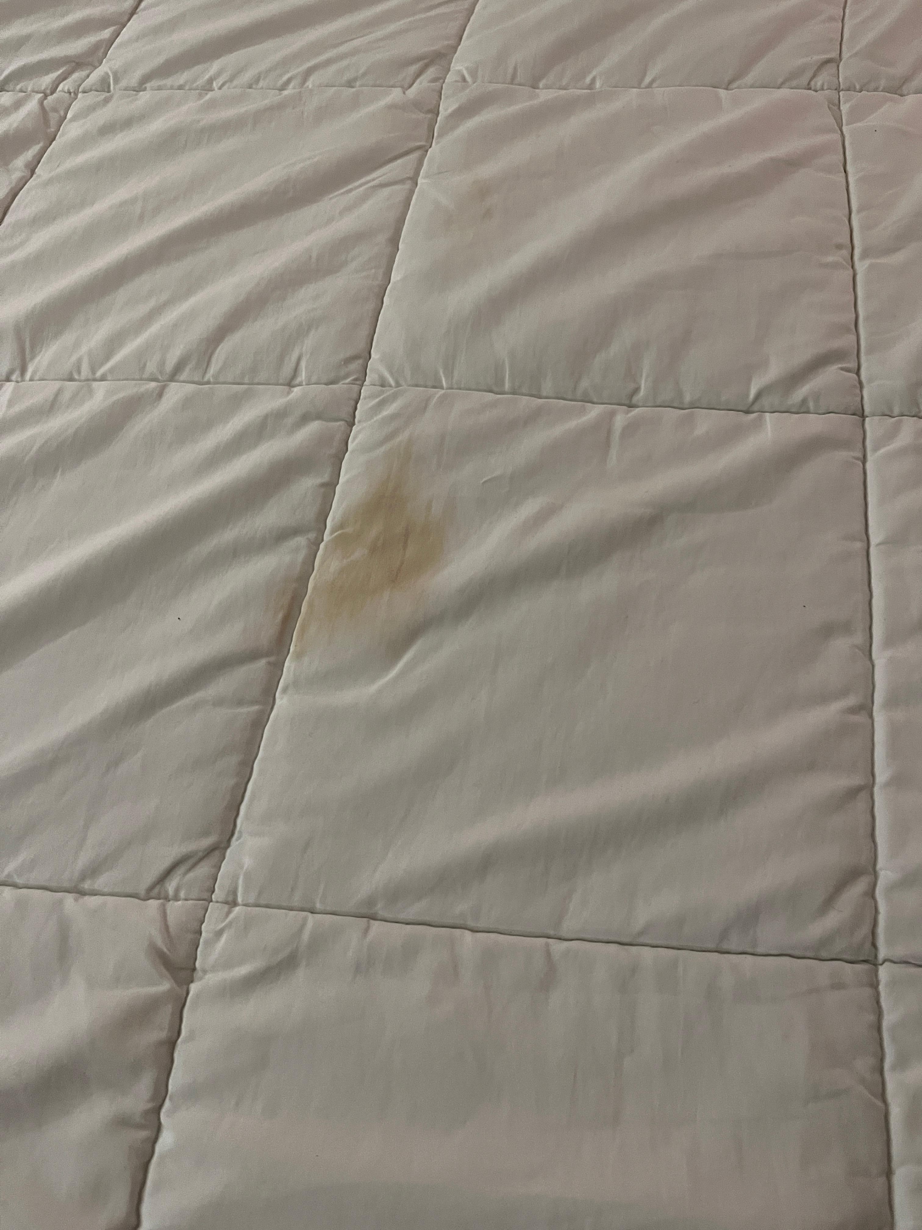Asked for someone to come look at the heater which wasn’t working. Take blankets with stains. Disgusting 