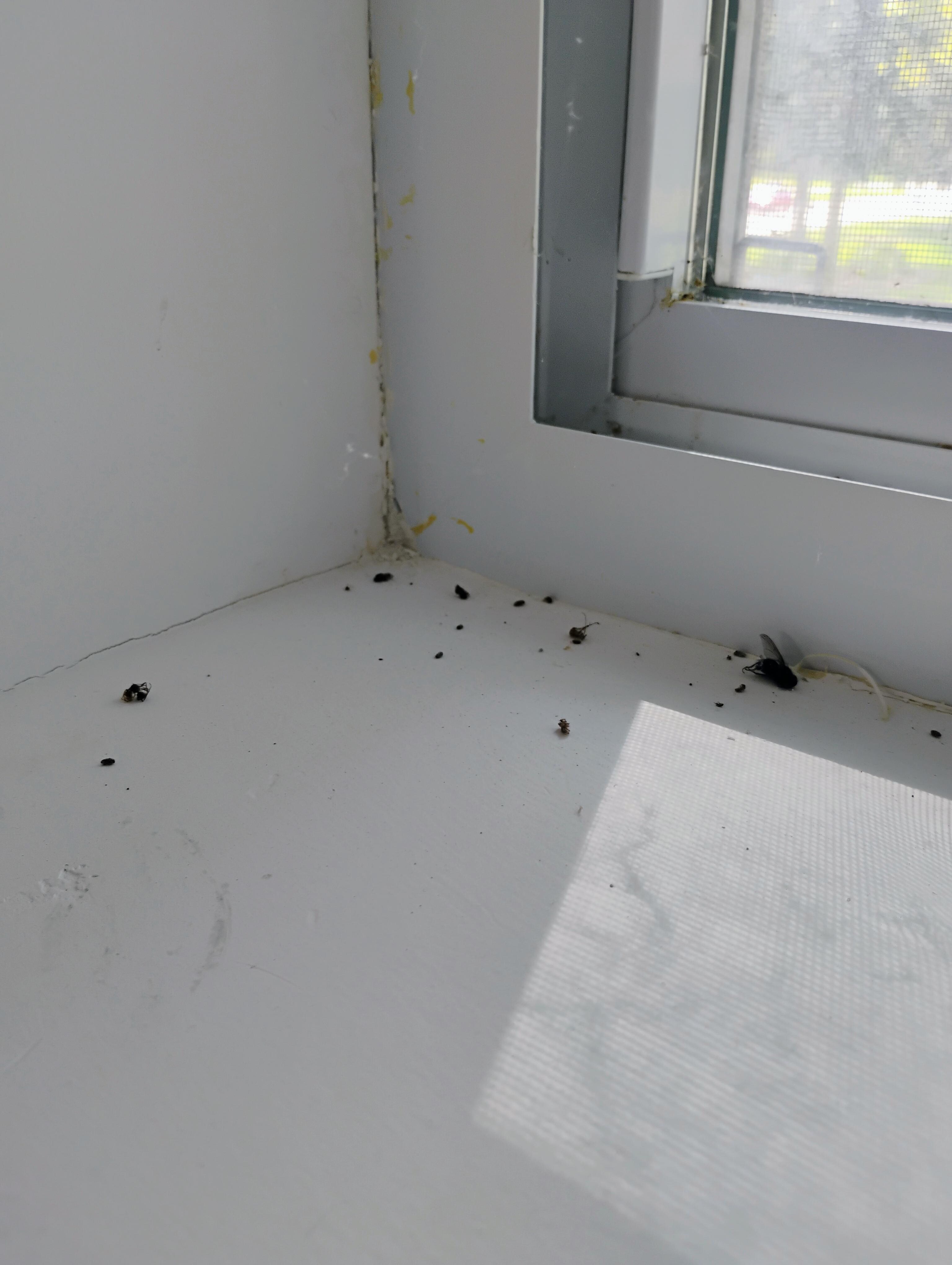 window ledge in room