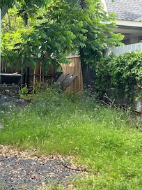 Back yard