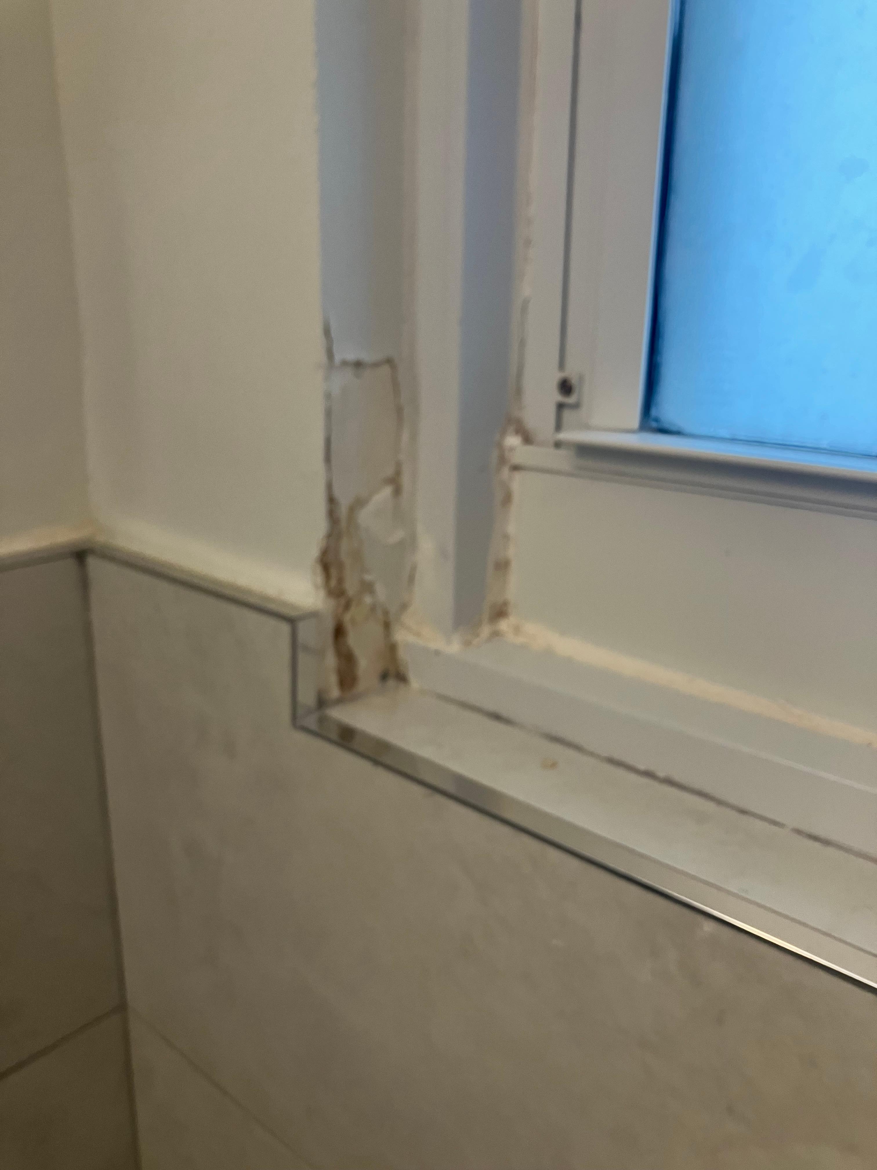 Bathroom window trim