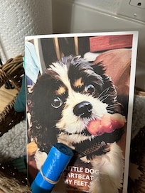 Buddy's special treats, bags, and personalized pamphlet.