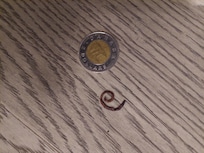 (cat's) round worm stuck on floor