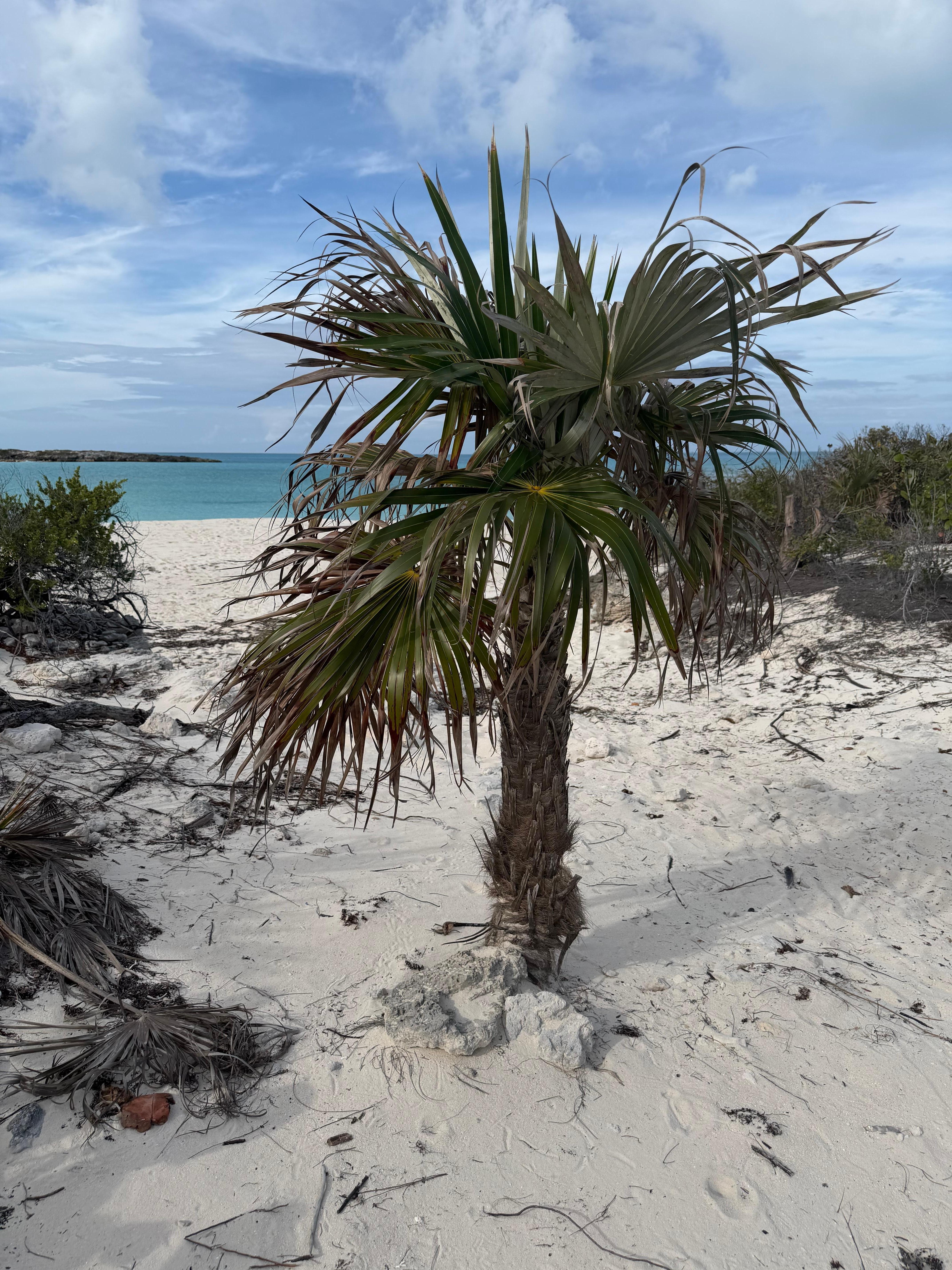 Entrance to “private” beach