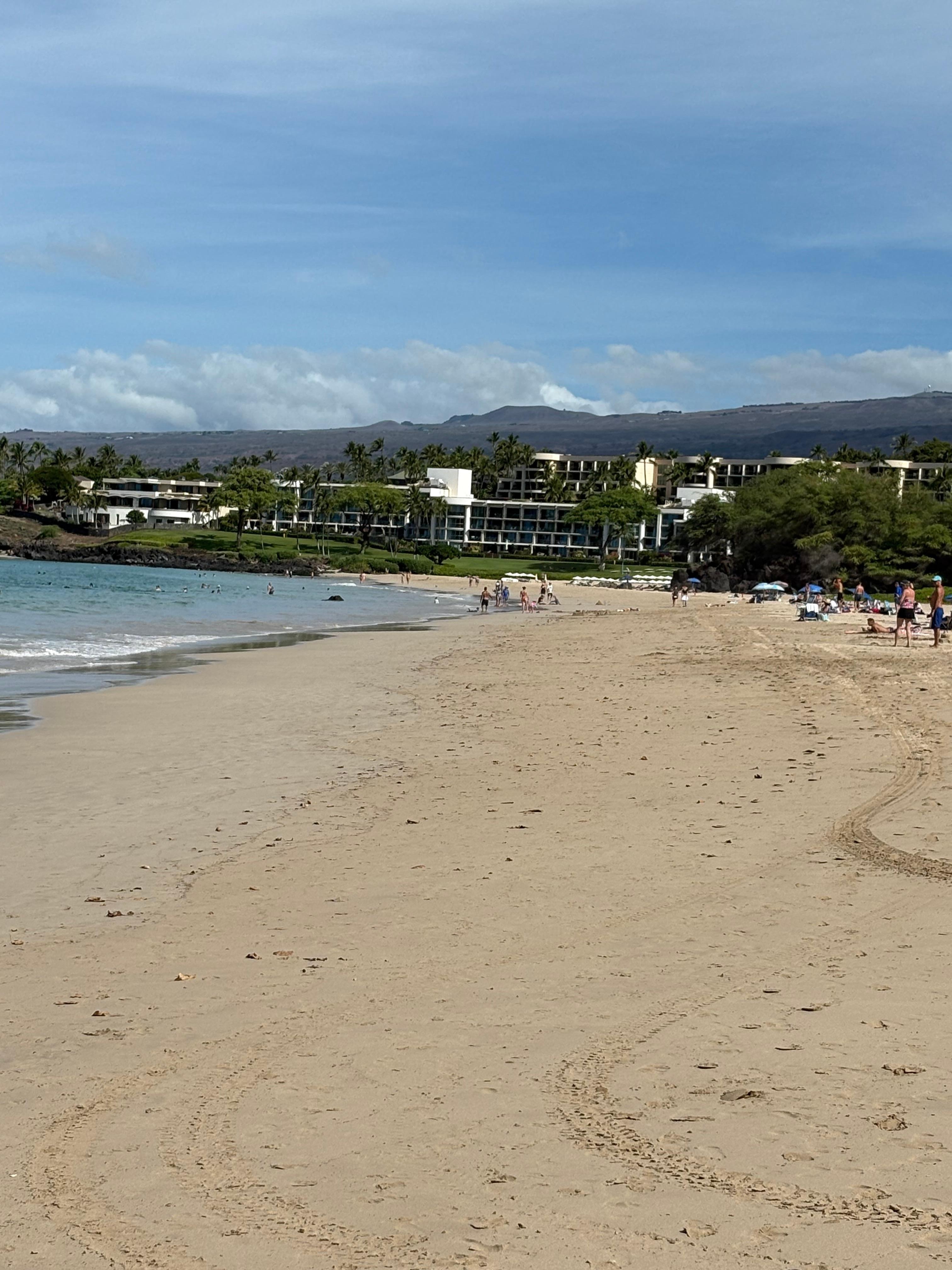 Looking from the beach towards the hotel 