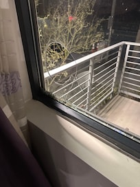 Head sized hole in one of the two panes of glass.