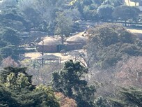 You can even watch the elephants in the zoo over lunch