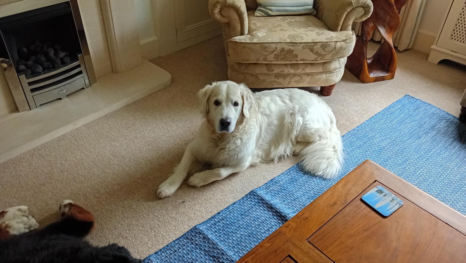 Relaxing at The Beach House