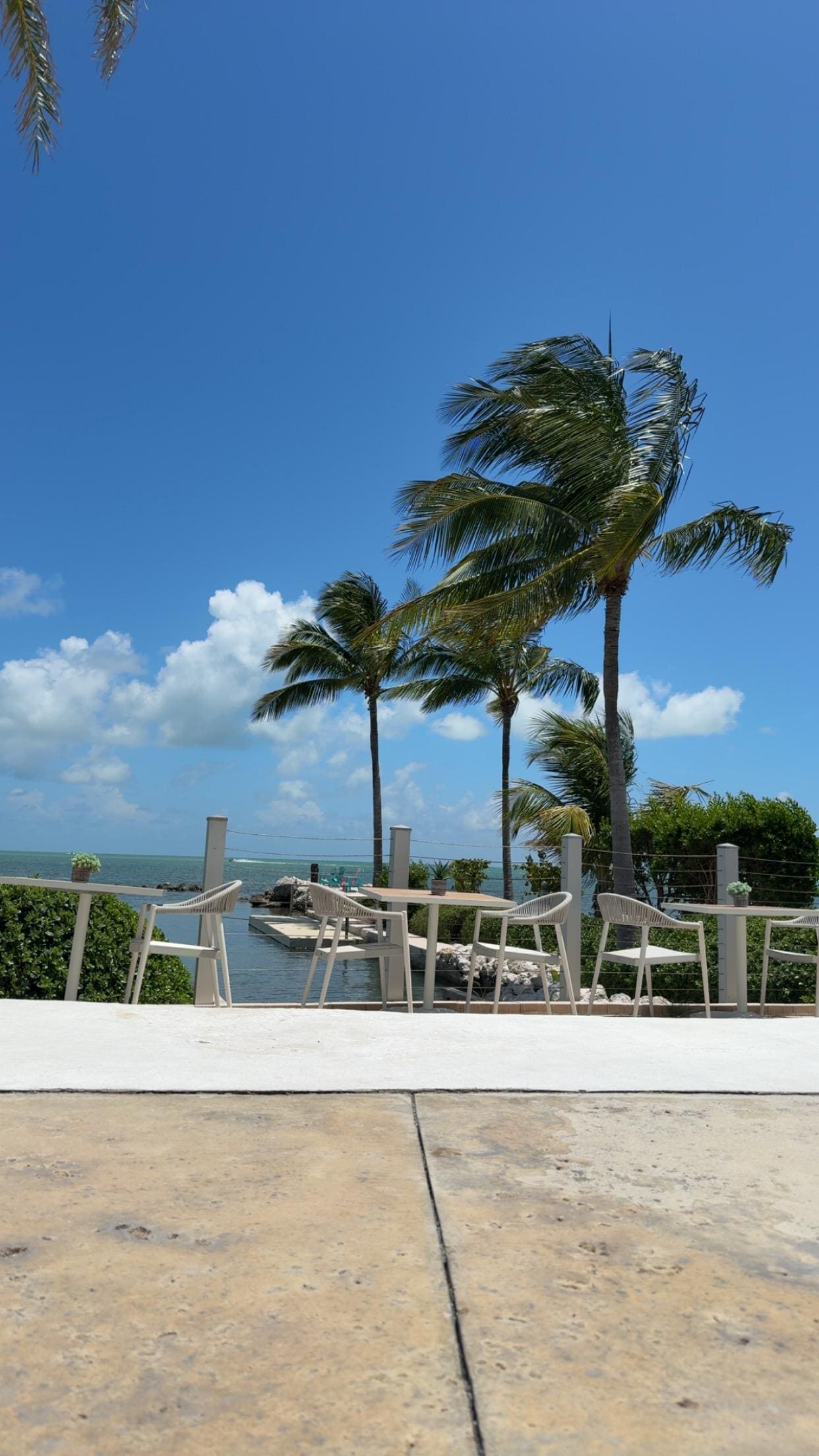 view from the infinity pool! 