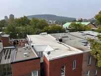 View from the rooftop deck