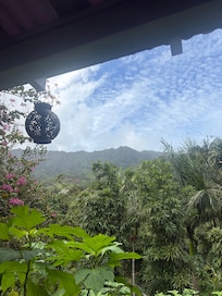 view from porch