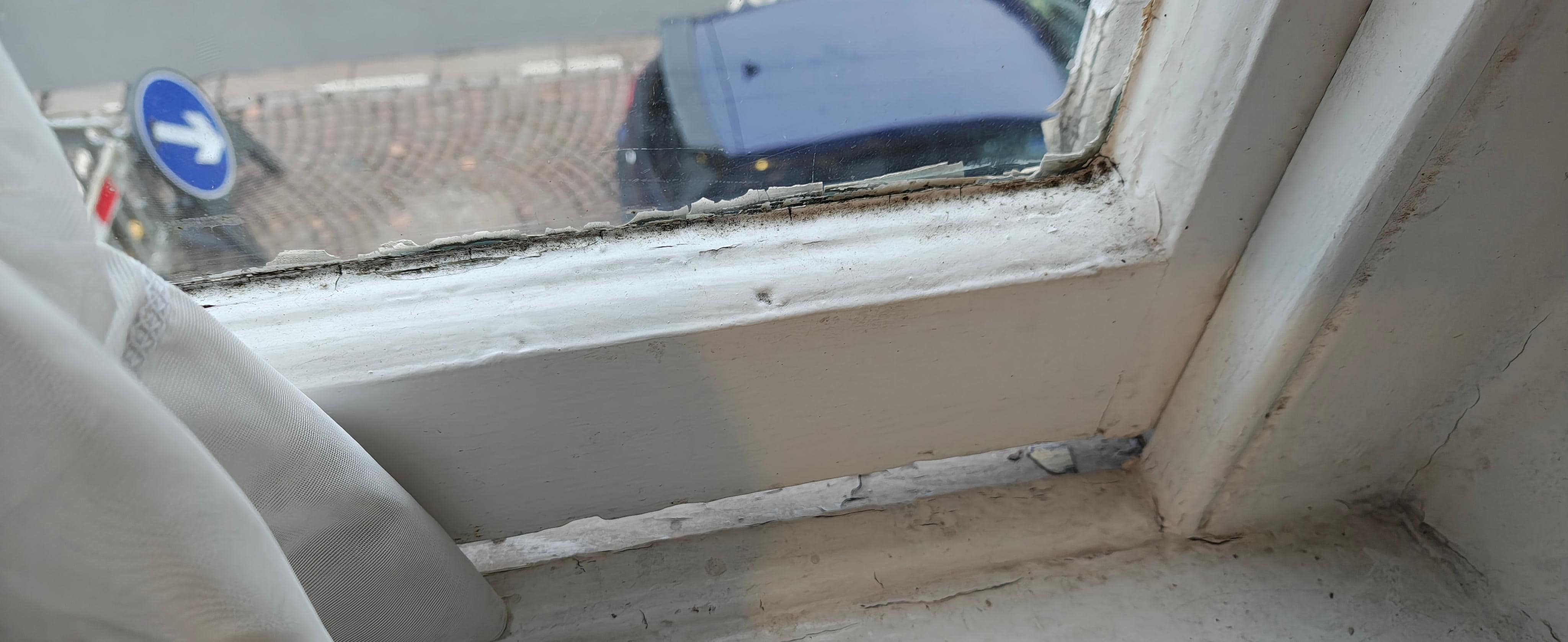 black mould on windows