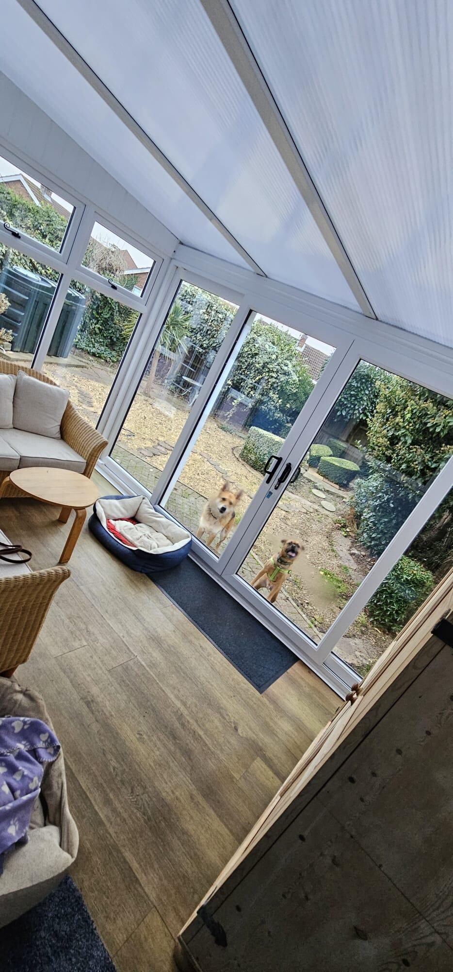 Dog friendly and dog approved garden