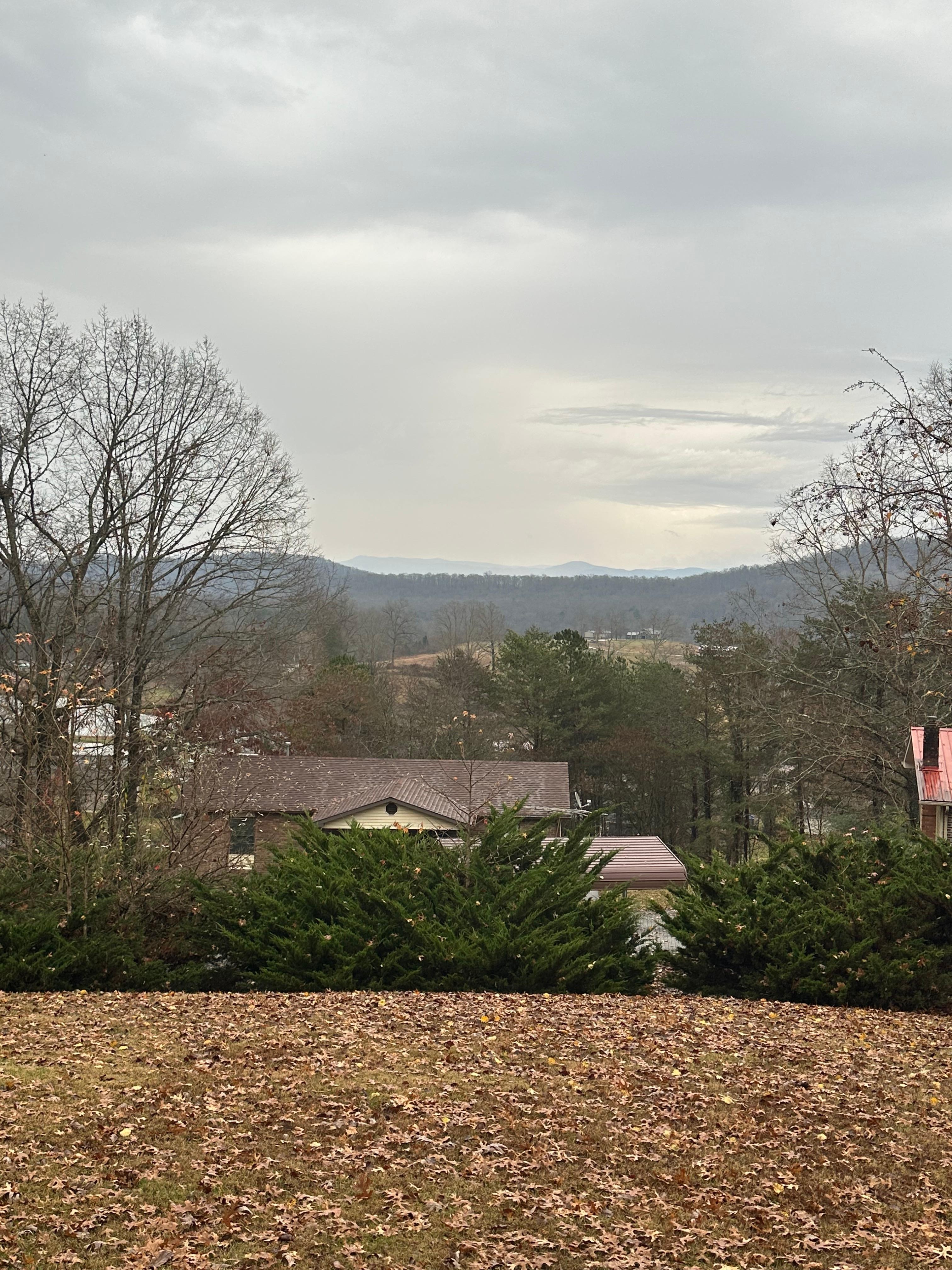 View from the front porch