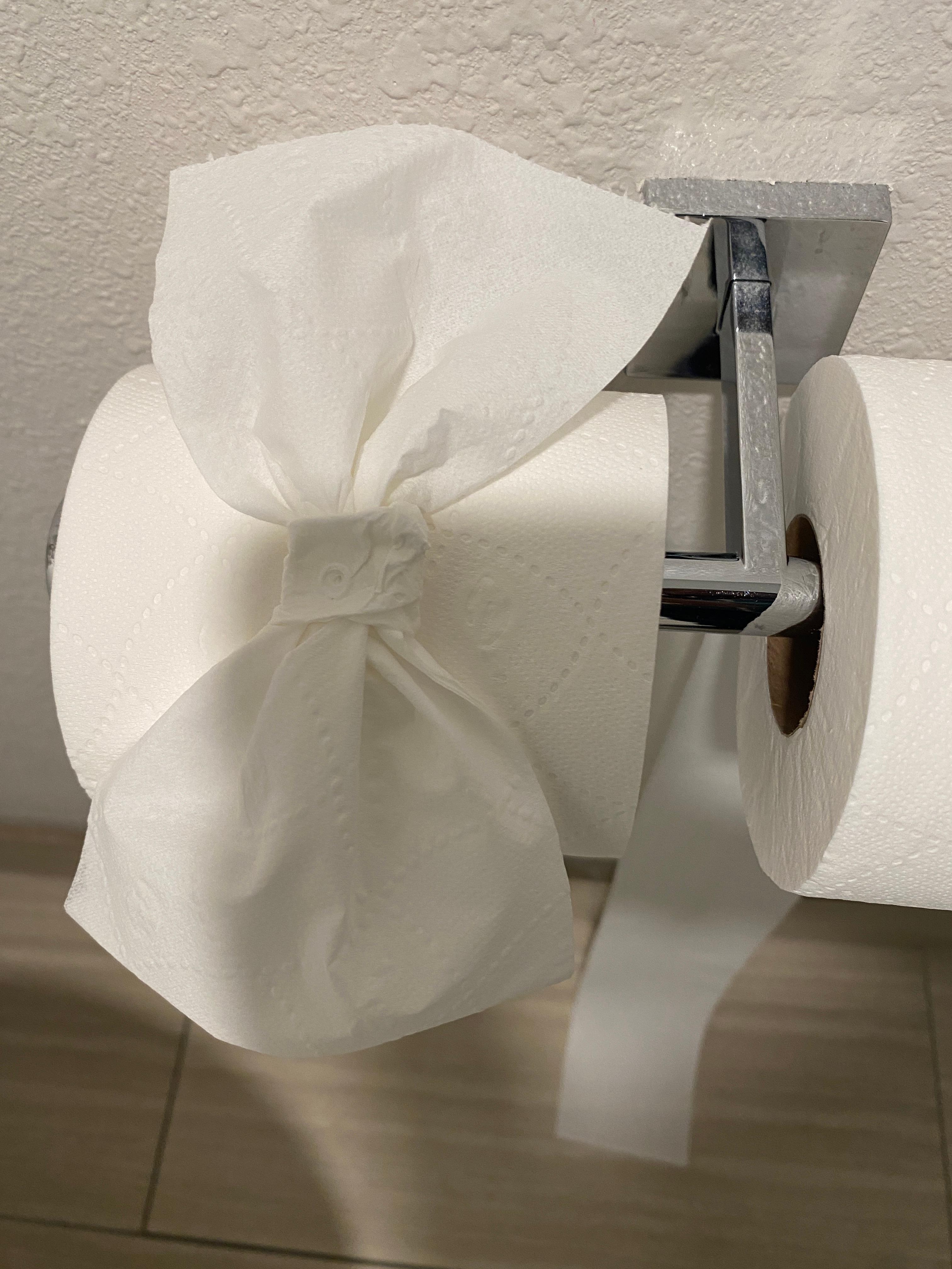 Fancy toilet paper folding