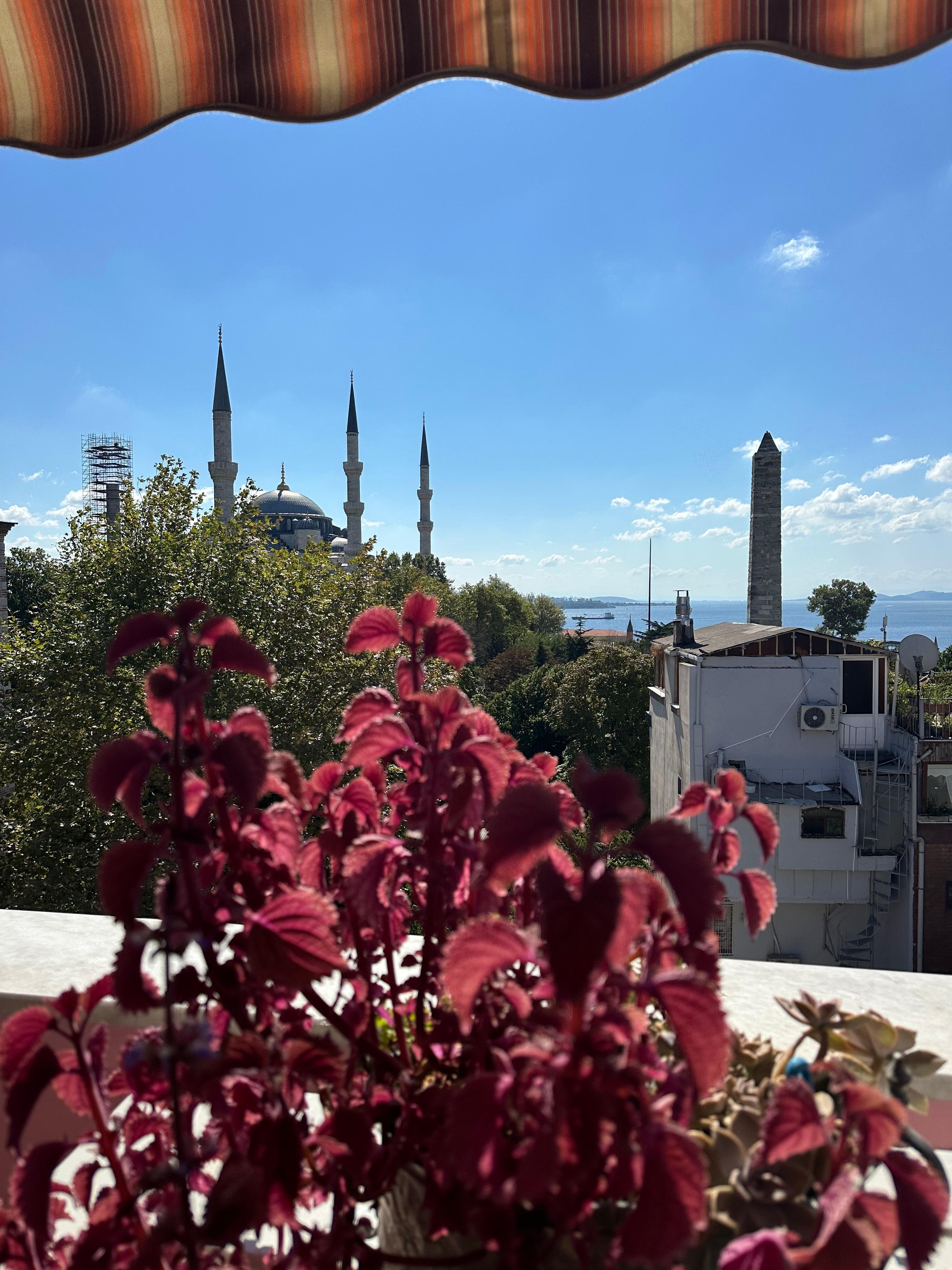 View from the terrace during breakfast time.