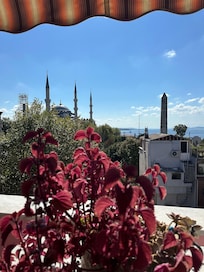 View from the terrace during breakfast time.