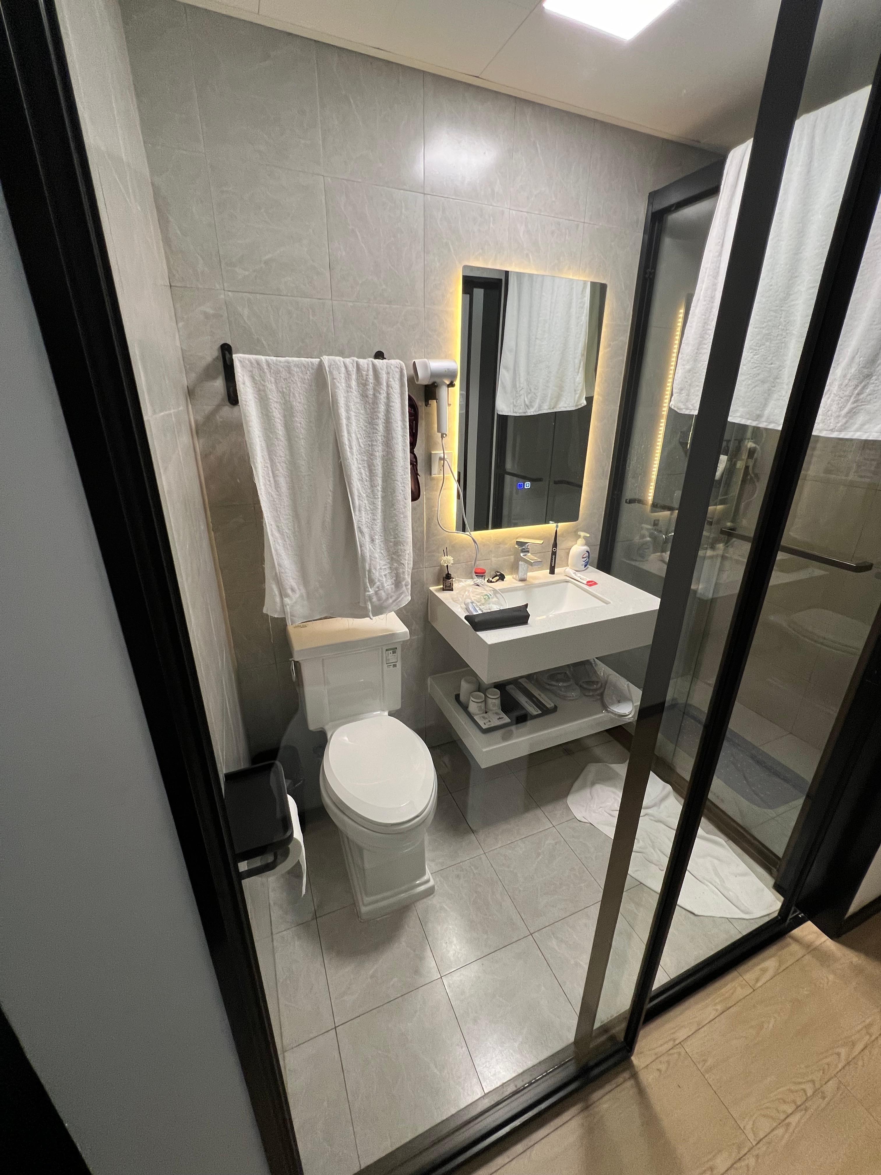 Toilet and shower with glass door