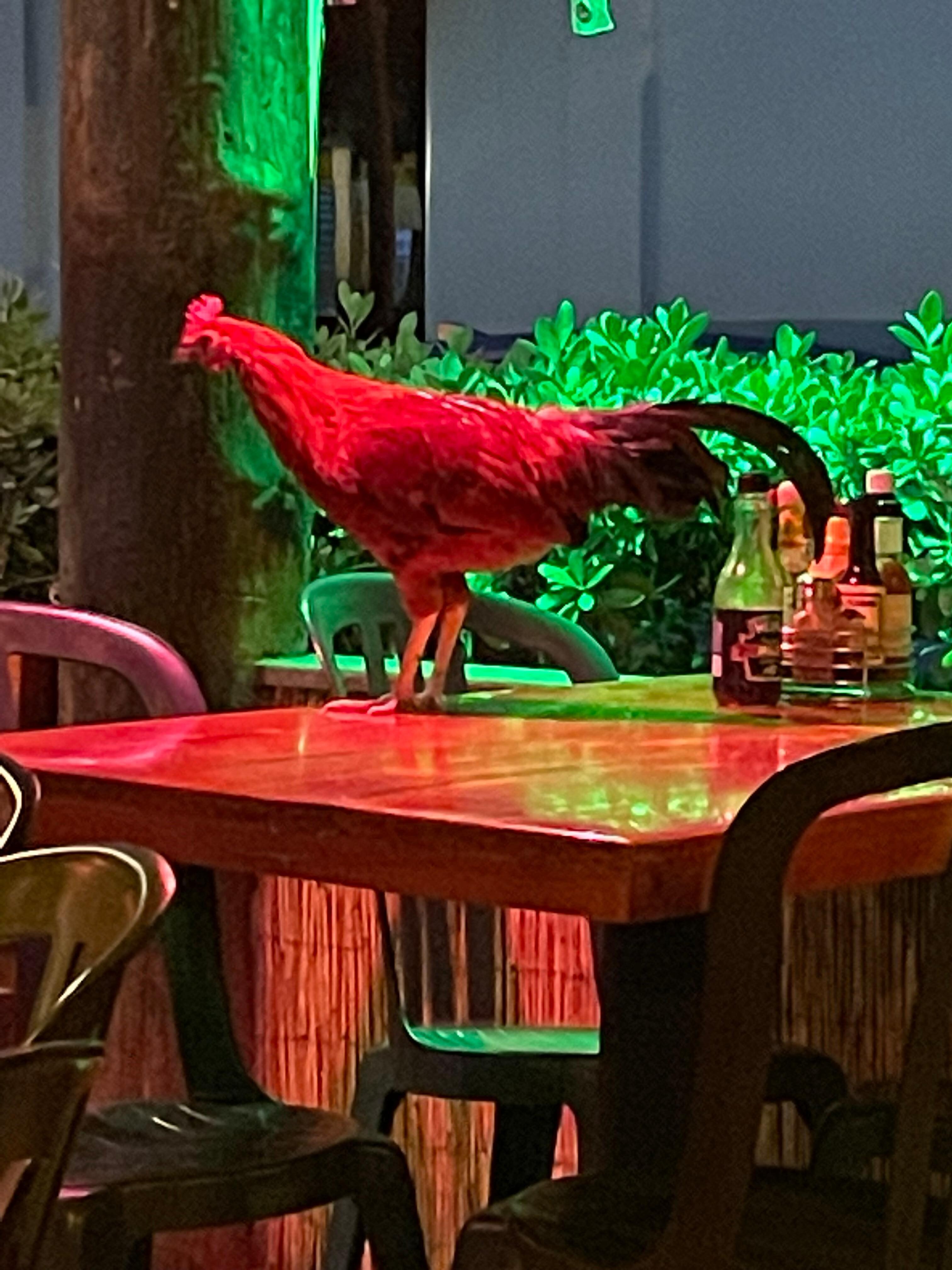 Two Friends Restaurant and Bar
