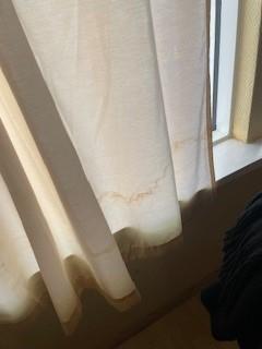 Stained curtains