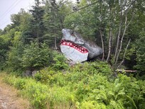 A painted rock that can be glimpsed on the way back to the home from Bayswater Beach (near the sign for Northwest Cove).