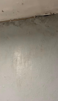 Mold and water leakage
