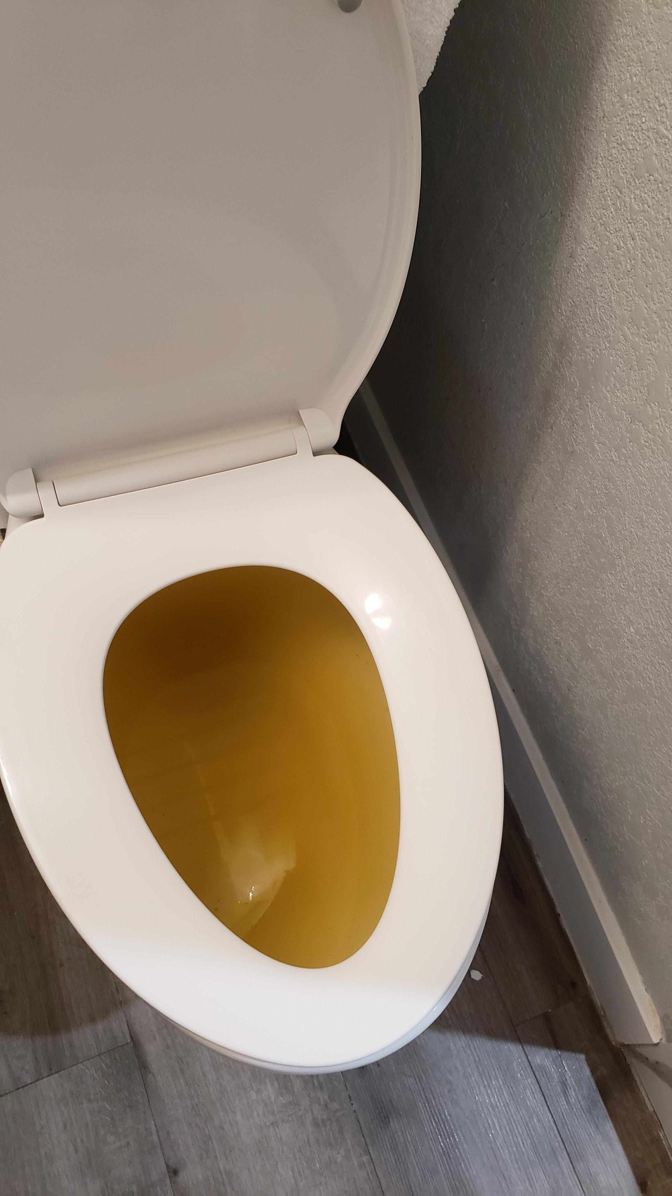 Toilet was clogged, no help