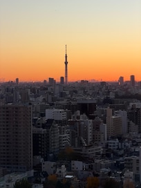 The view from room window