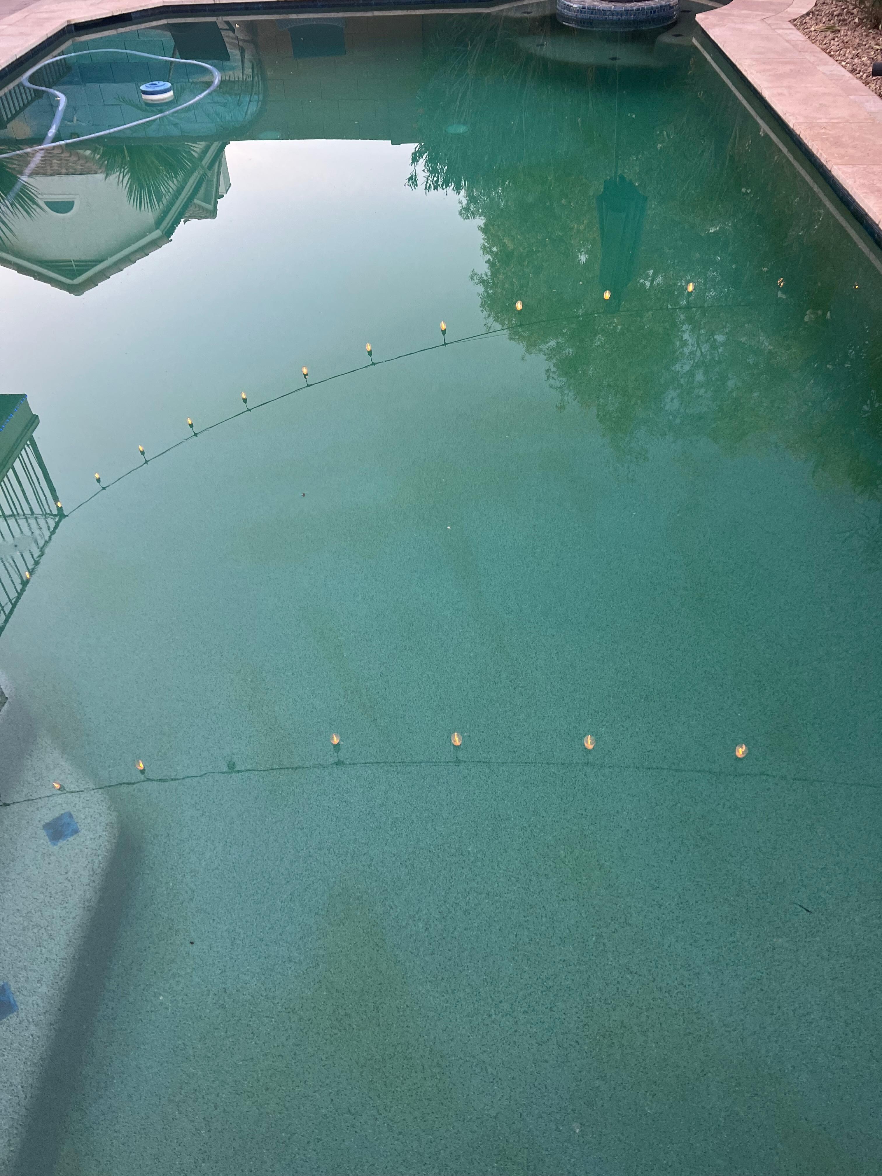 This is a full shot of the pool. The pic is not really clear but you can see the algae on the bottom. 