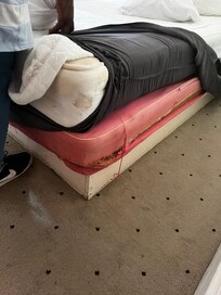 Our beds