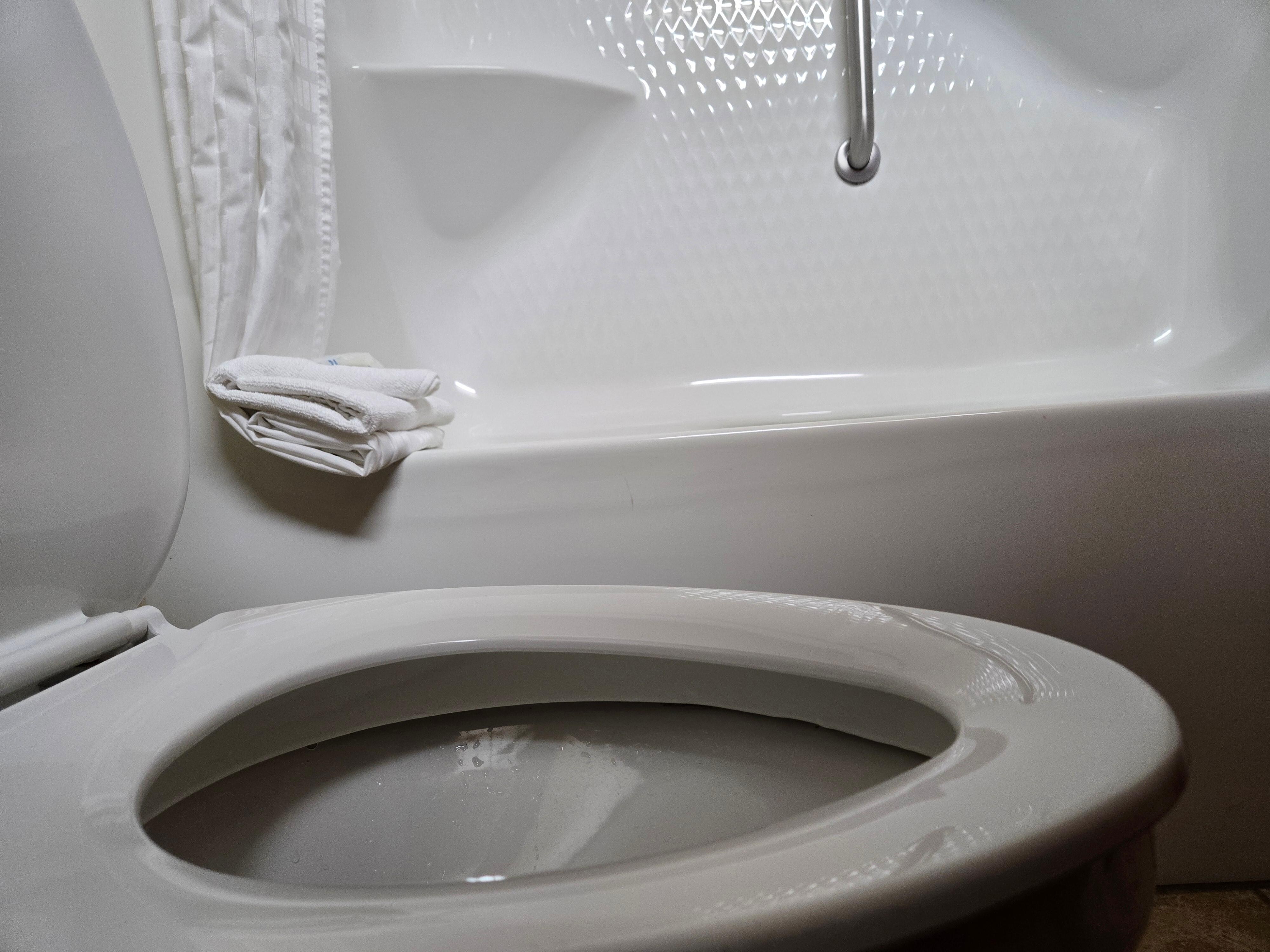 Toilet sits below the top of the side of the tub