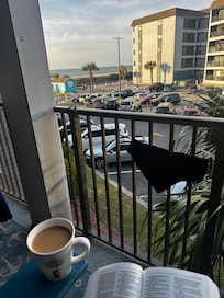 Bible and coffee with a view !