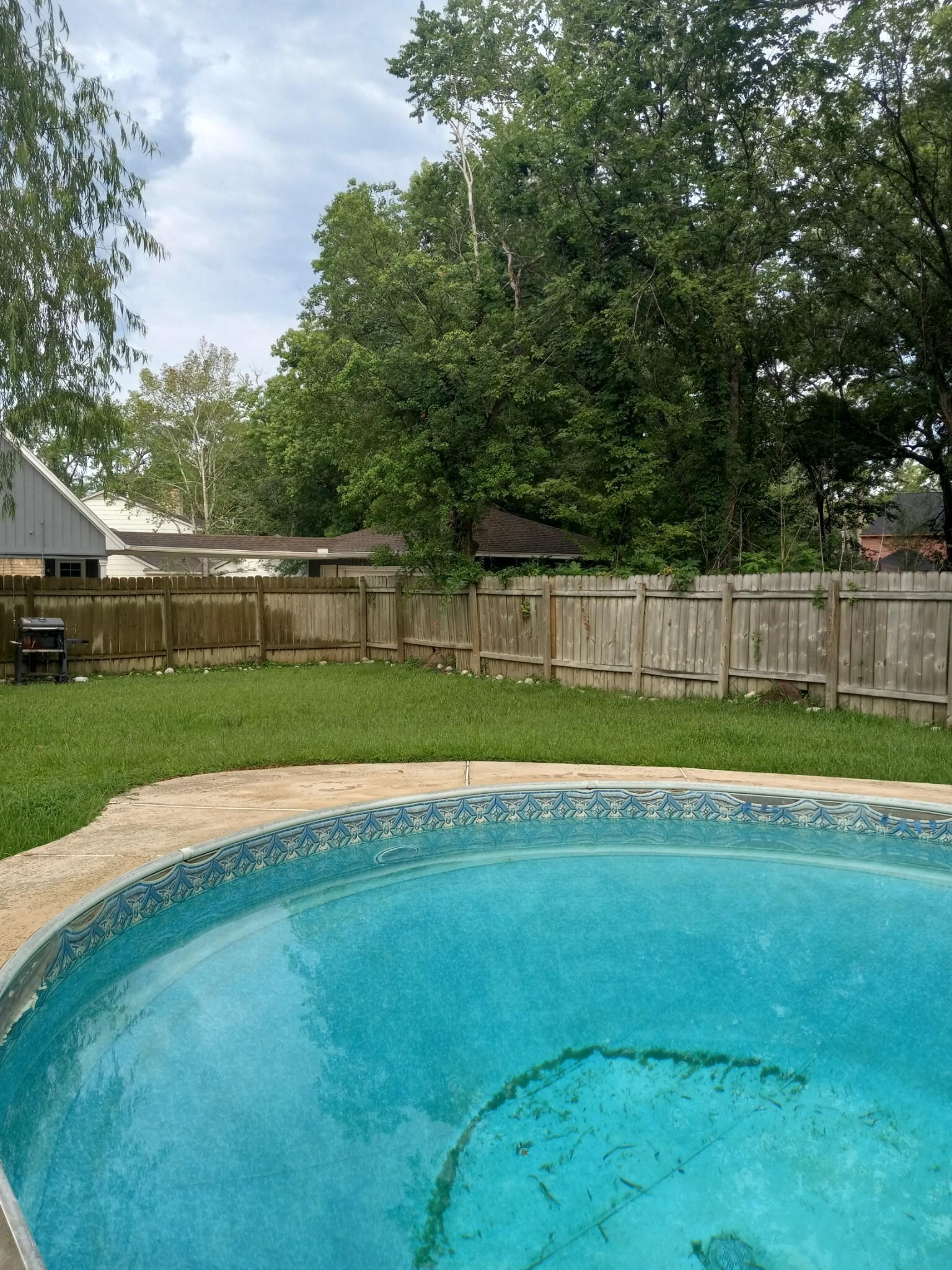 Dirty pool - grass need cutting