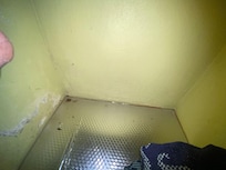 insect faeces in bedroom closet; unpainted wall