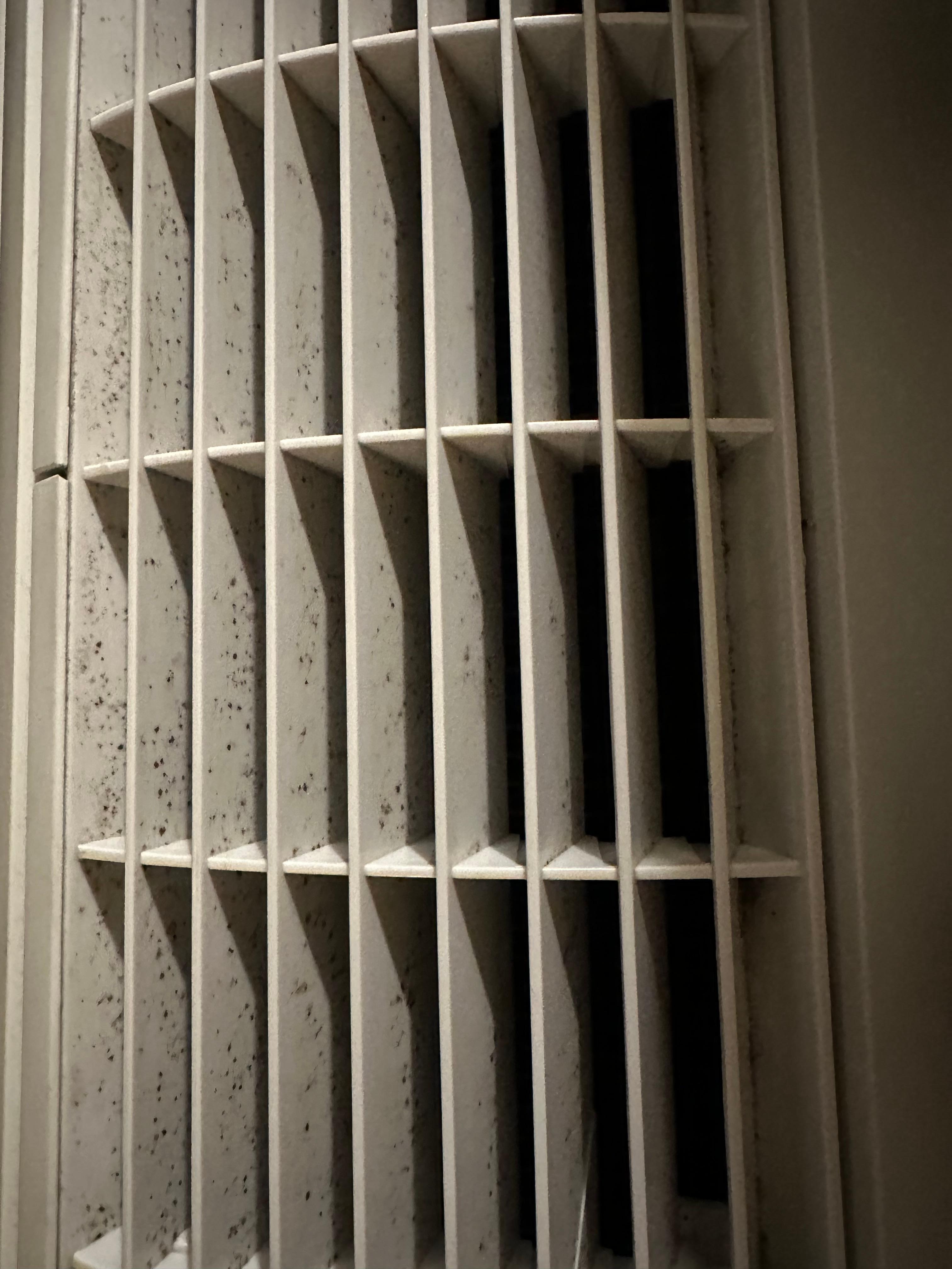 Appears to be black mold 