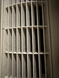 Appears to be black mold