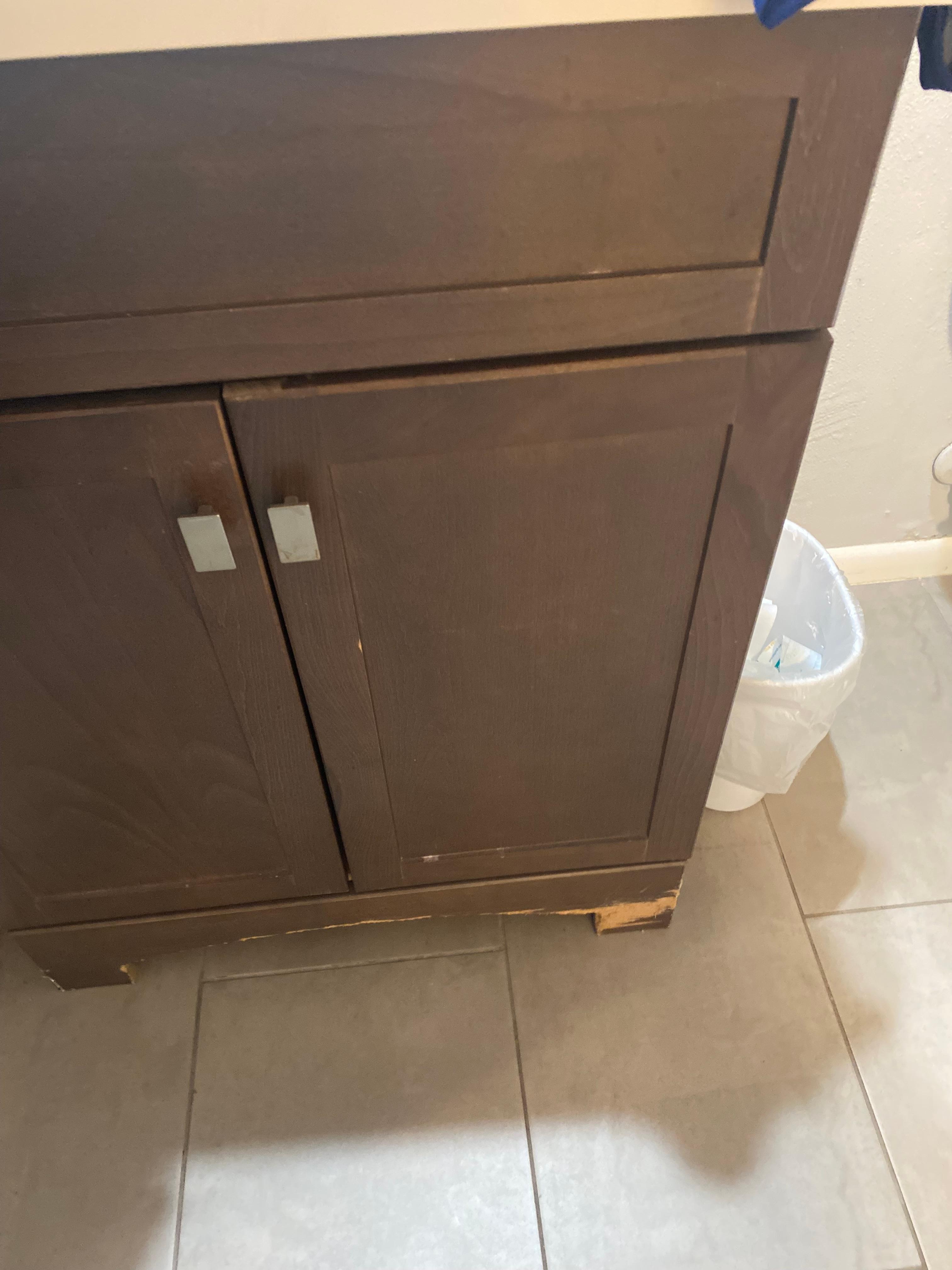 1 of several dog damaged items