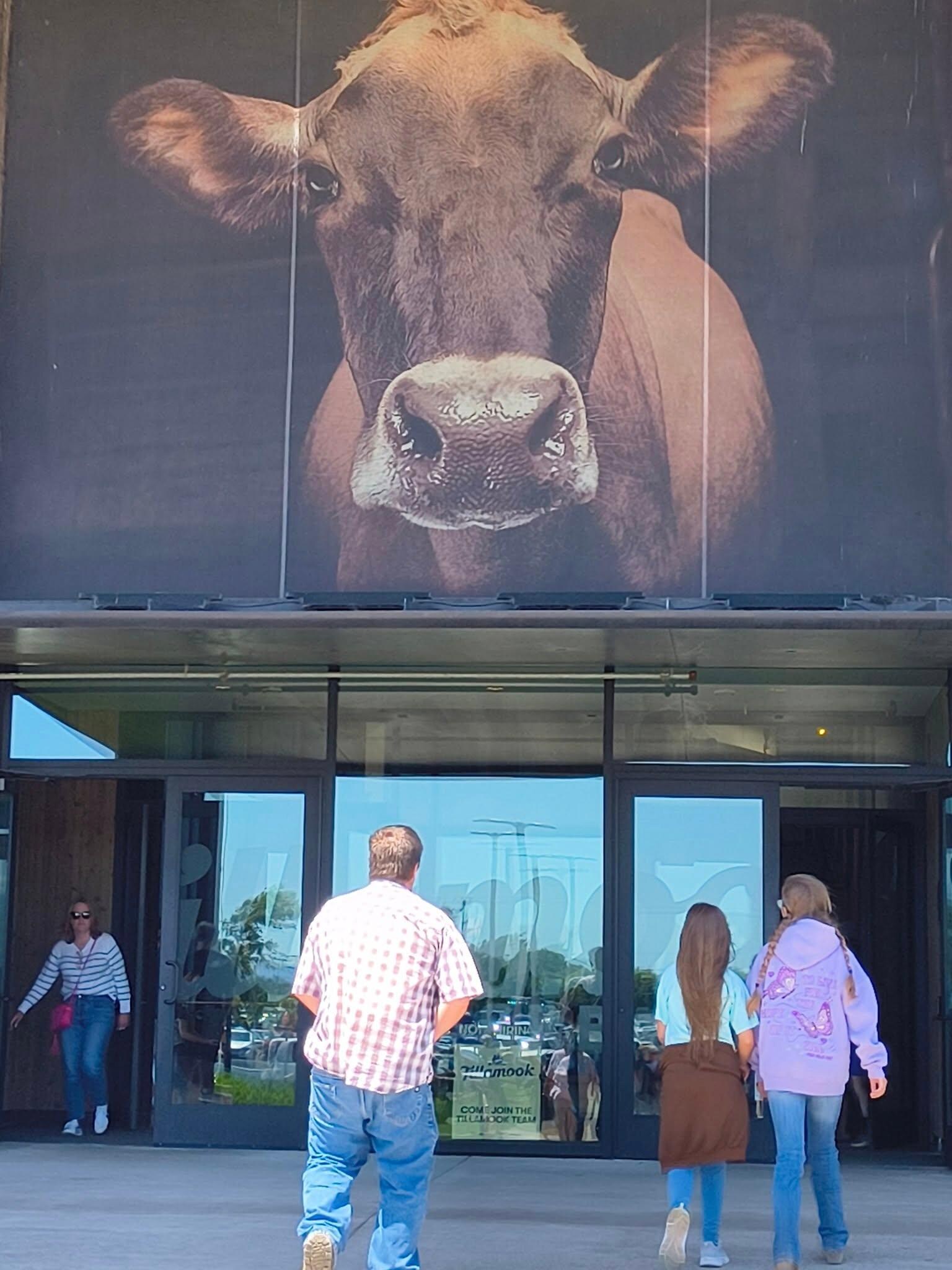Tillamook Creamery 