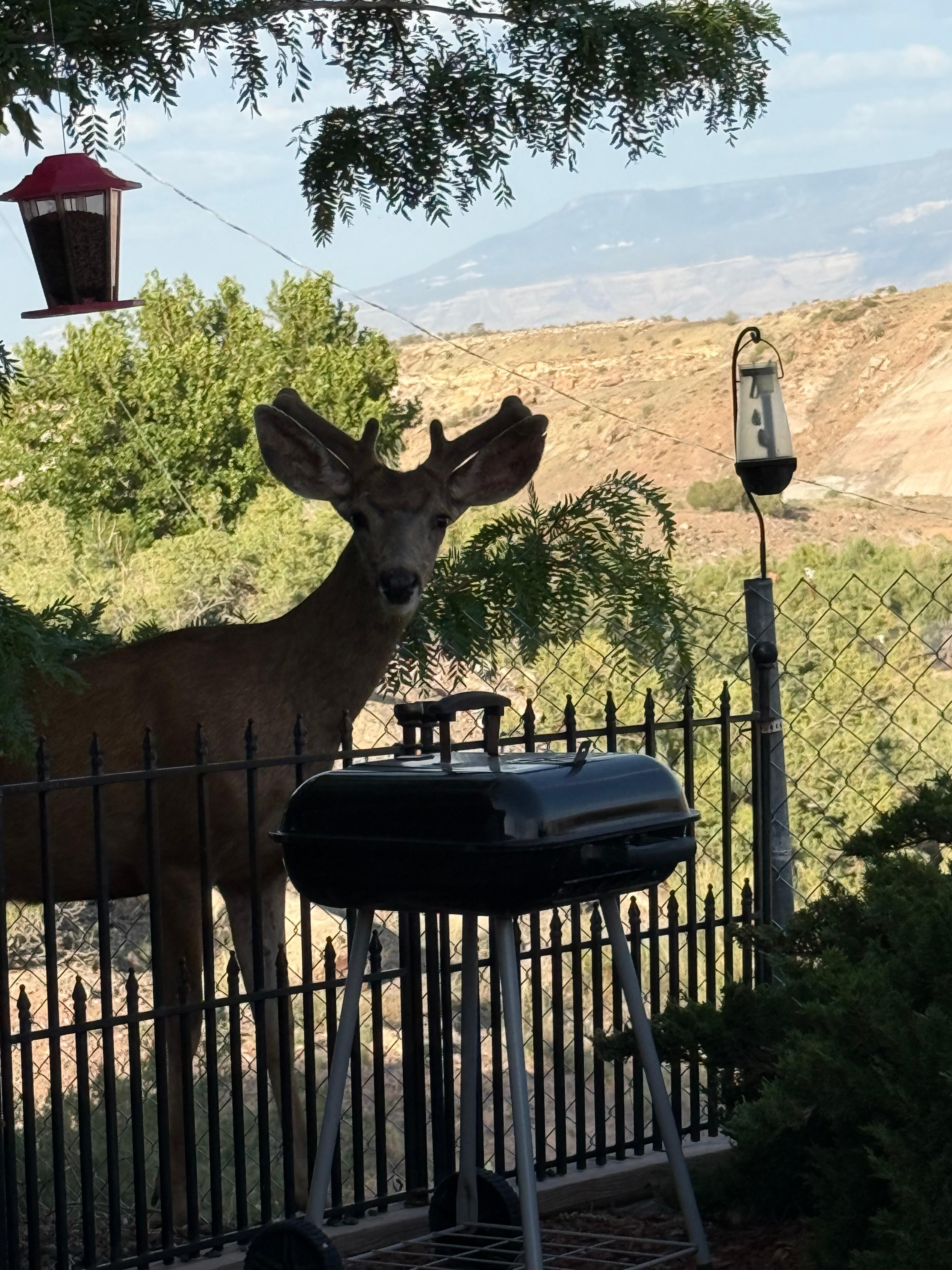 He stopped by to say hi! 