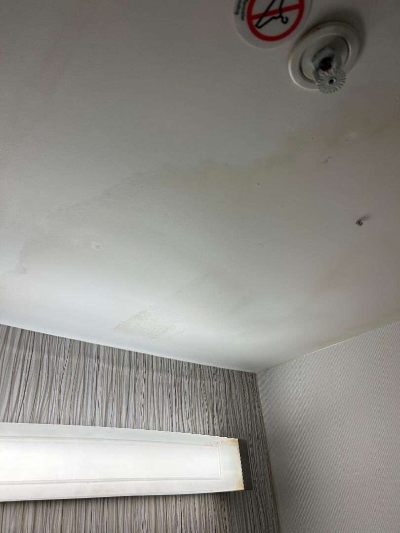 Ceiling stains and hair